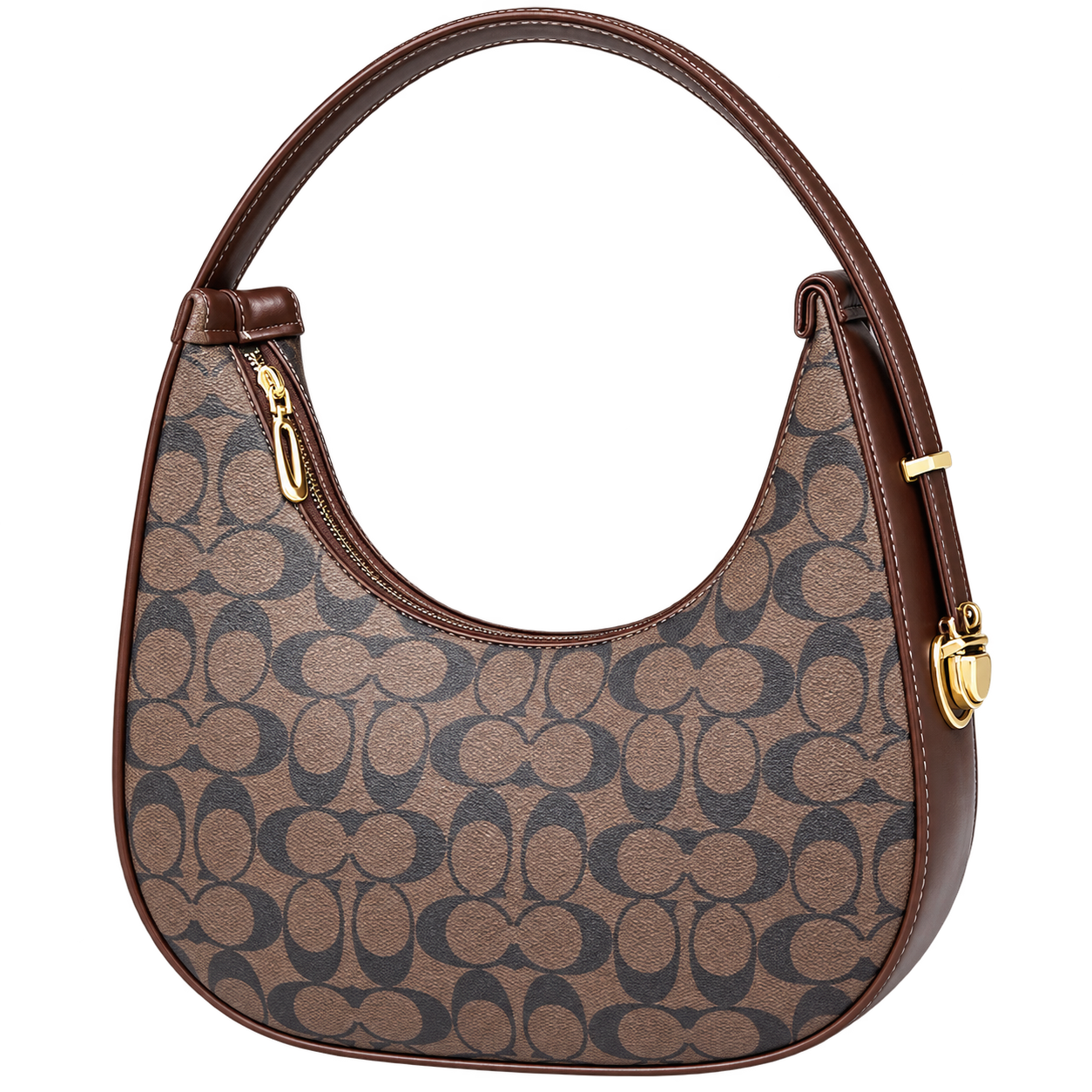Velmoras Monogram Canvas Hobo